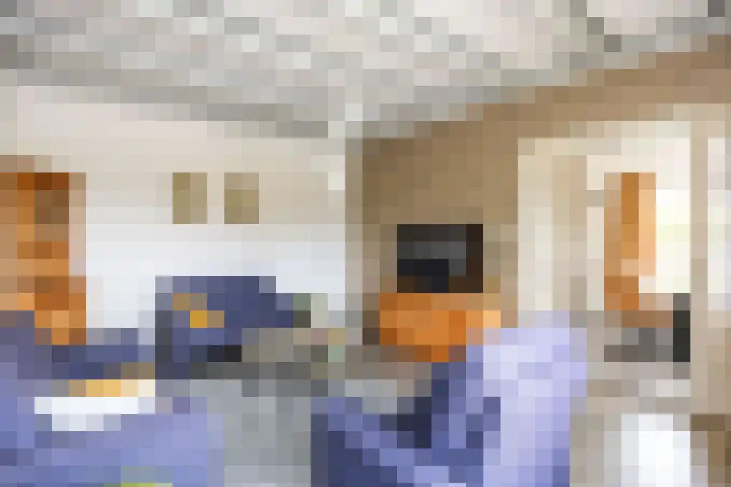 Parallelweg 12 Herwijnen thumbnail 16