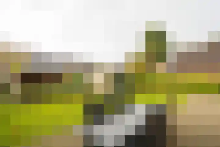Parallelweg 12 Herwijnen thumbnail 31
