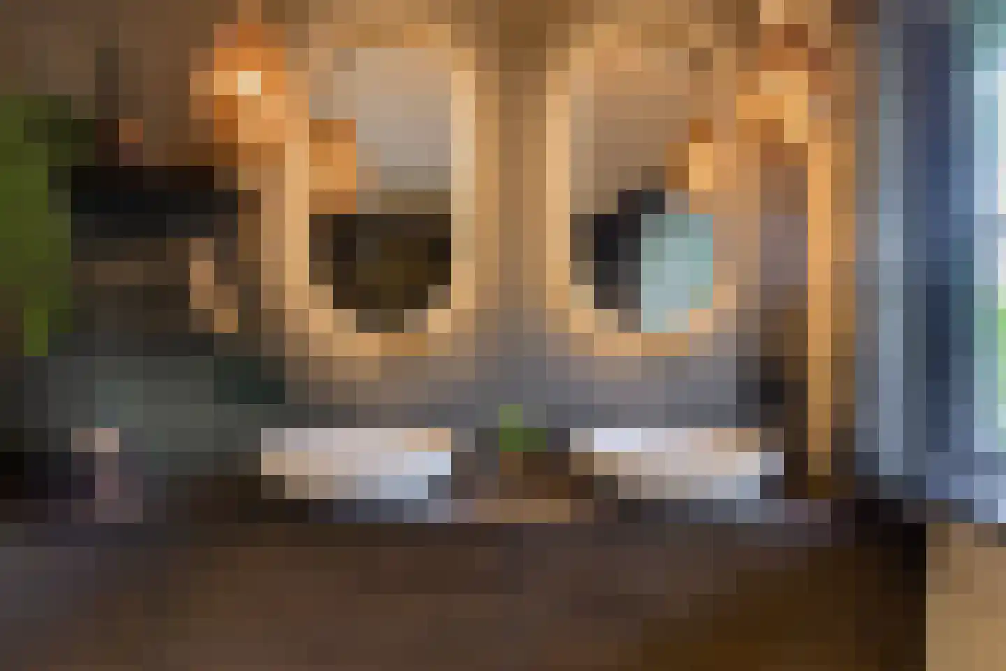 Parallelweg 12 Herwijnen thumbnail 33