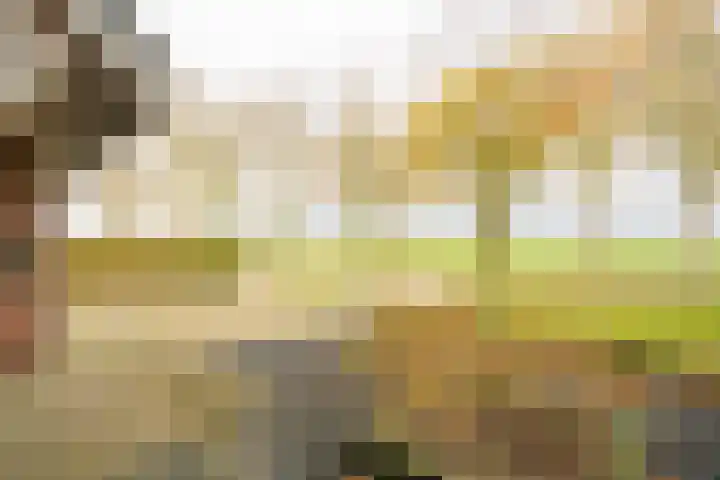Parallelweg 12 Herwijnen thumbnail 35