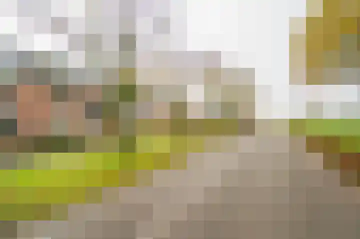 Parallelweg 12 Herwijnen thumbnail 5