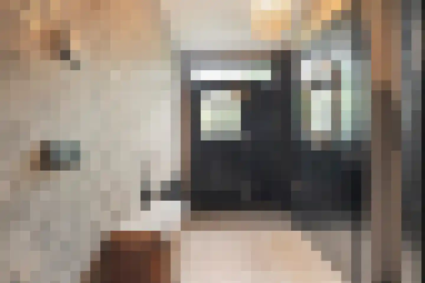 Parallelweg 12 Schagen thumbnail 11