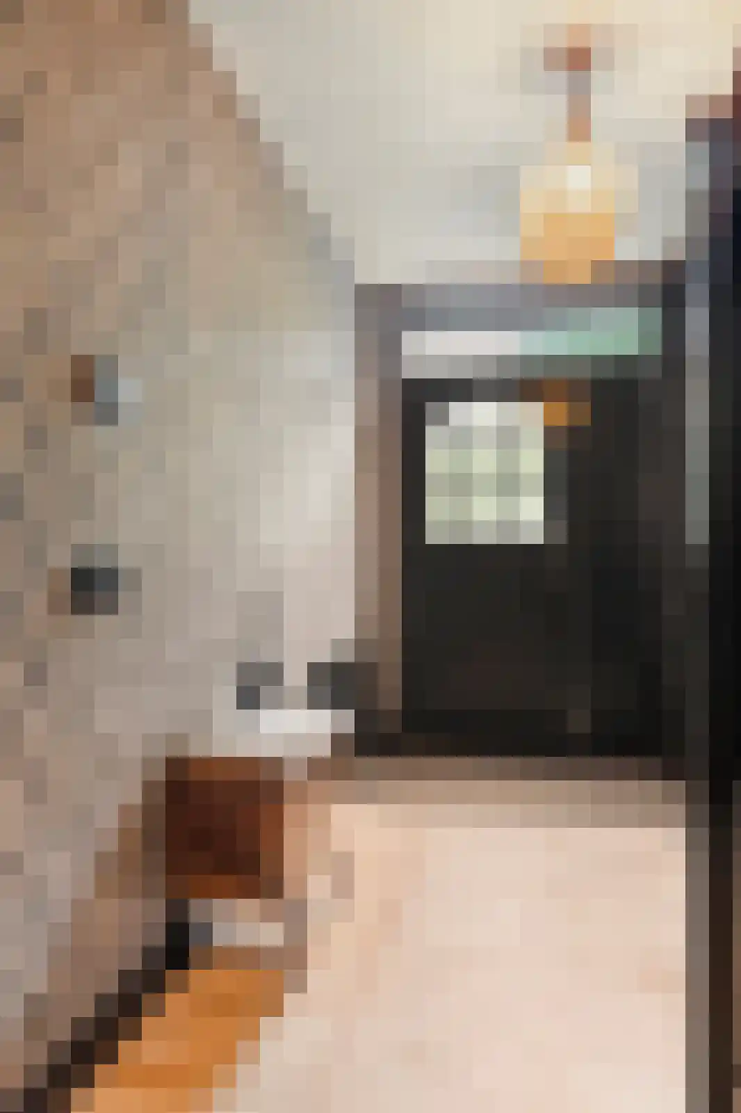 Parallelweg 12 Schagen thumbnail 13