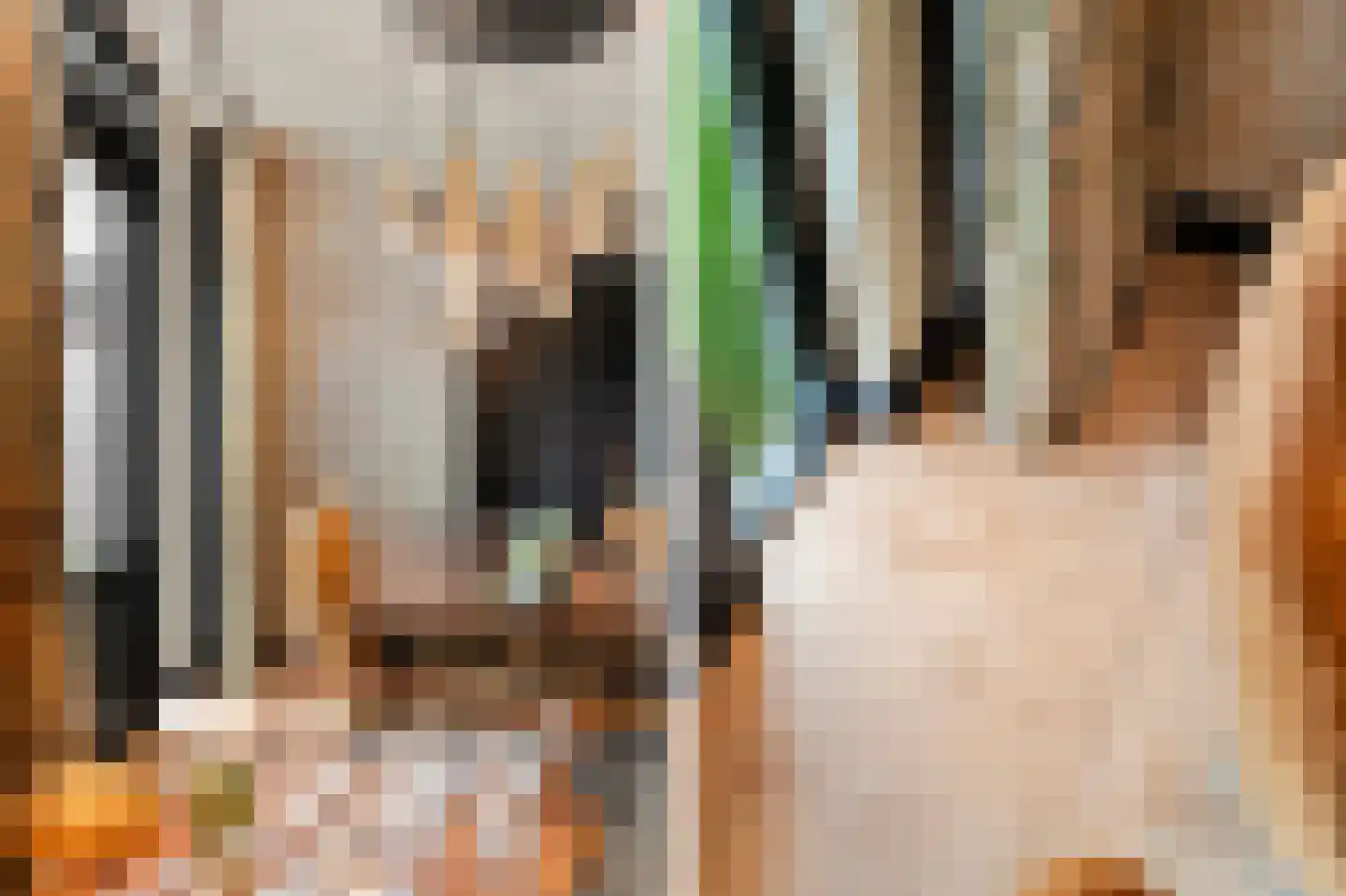 Parallelweg 12 Schagen thumbnail 26