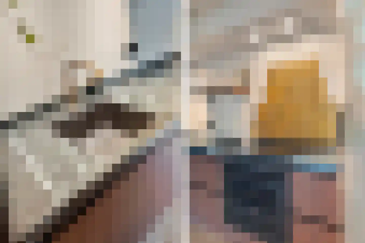 Parallelweg 12 Schagen thumbnail 30