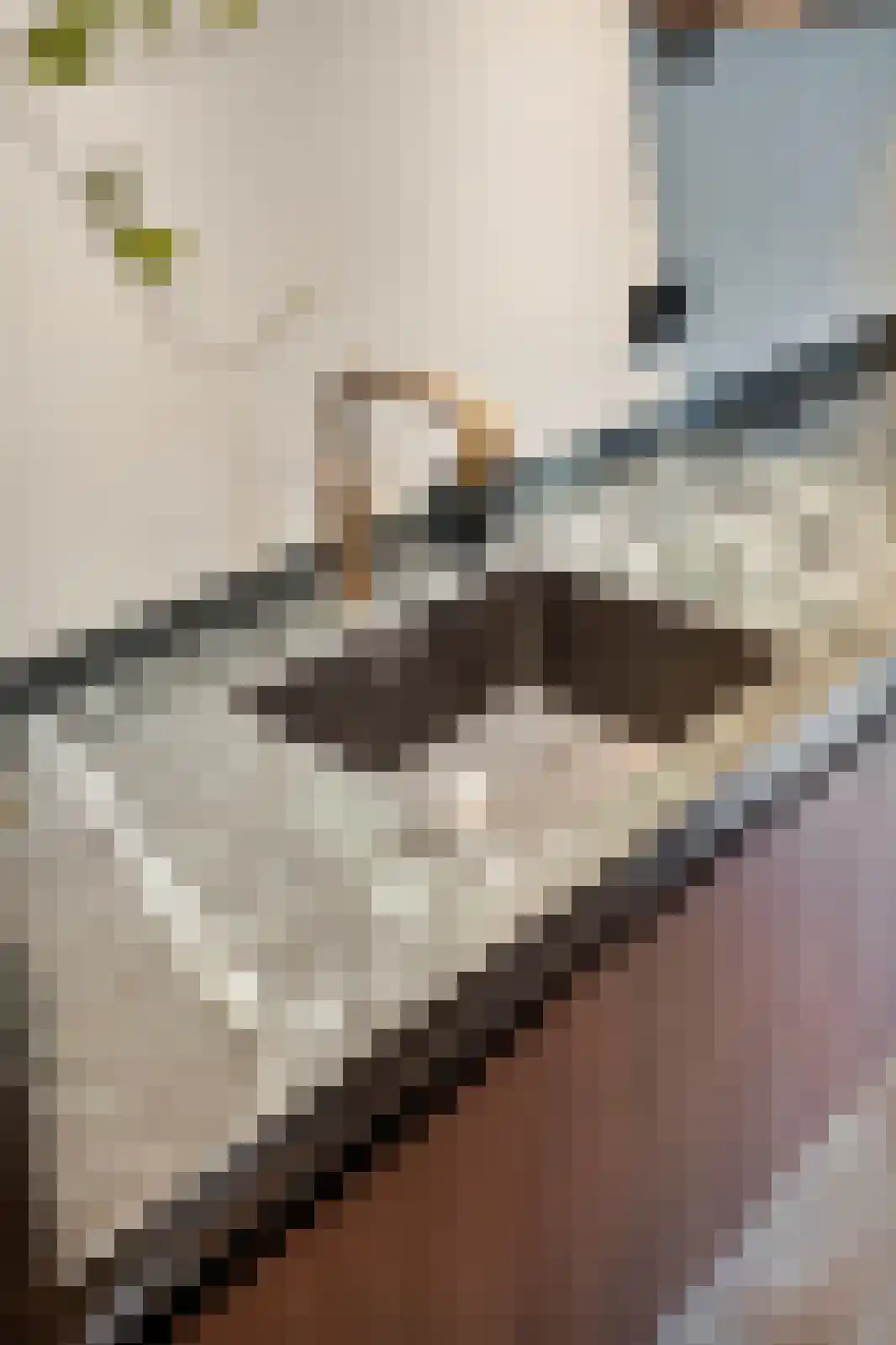Parallelweg 12 Schagen thumbnail 31