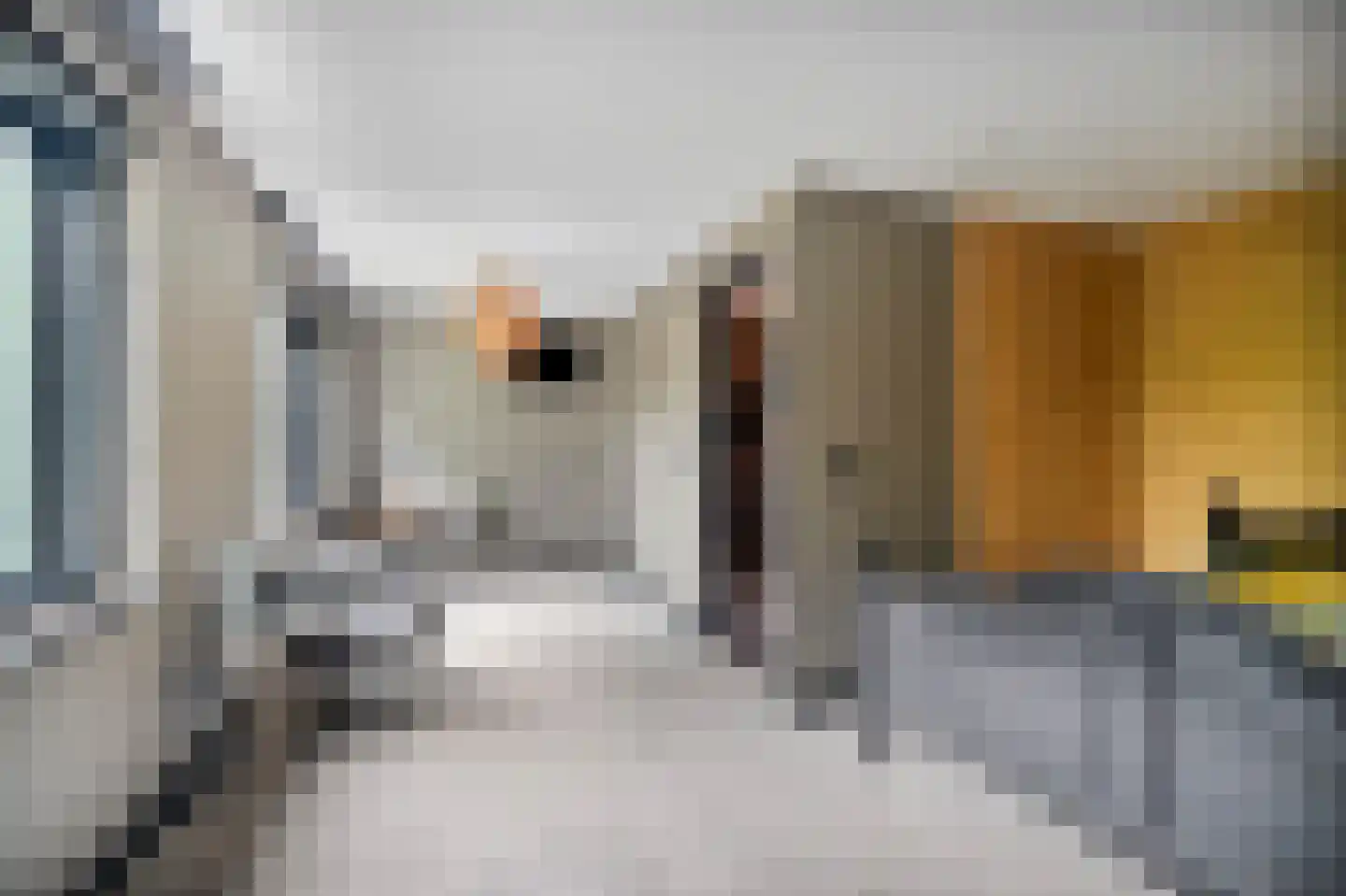 Parallelweg 12 Schagen thumbnail 39