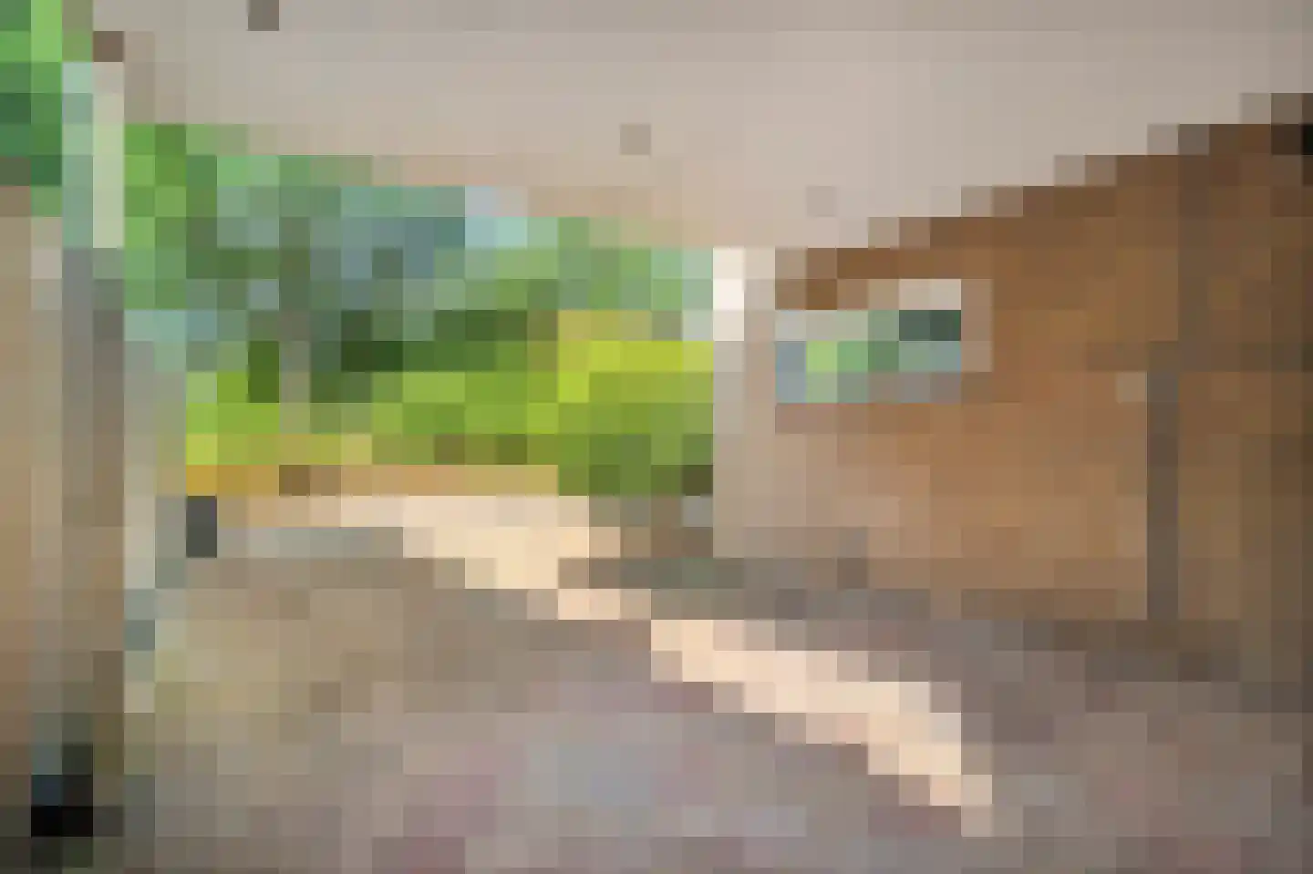 Parallelweg 12 Schagen thumbnail 7