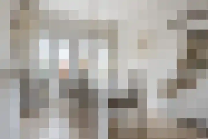 Parallelweg 12 Sneek thumbnail 10