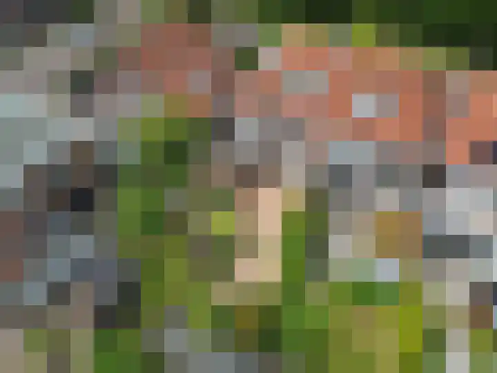 Parallelweg 12 Sneek foto 3