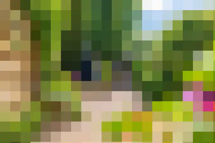 Parallelweg 12 Sneek thumbnail 40