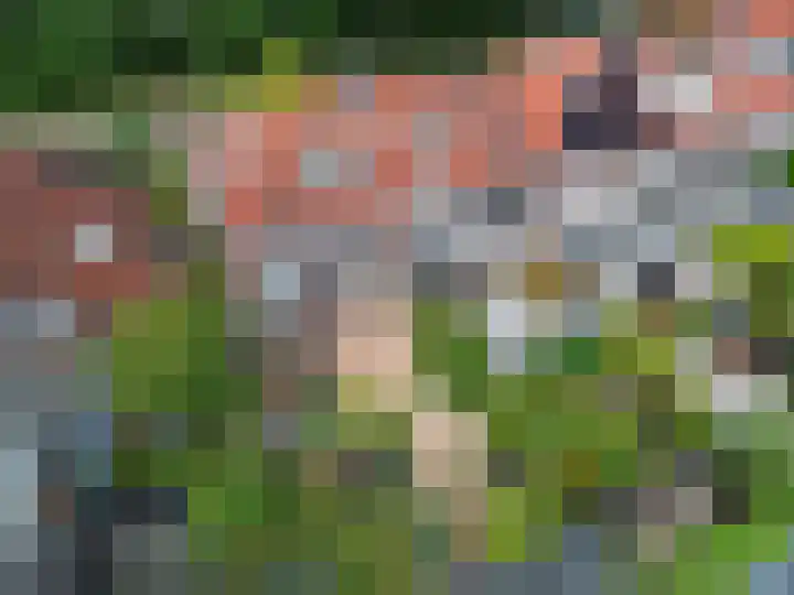 Parallelweg 12 Sneek thumbnail 43