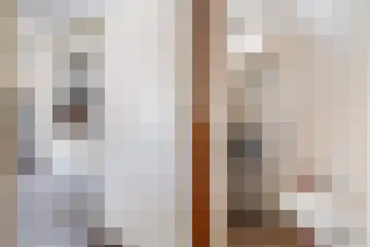 Parallelweg 12 Sneek thumbnail 5