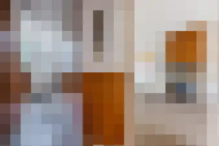 Parallelweg 12 Sneek thumbnail 6