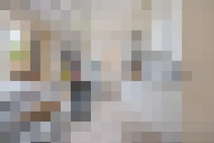 Parallelweg 12 Sneek thumbnail 7