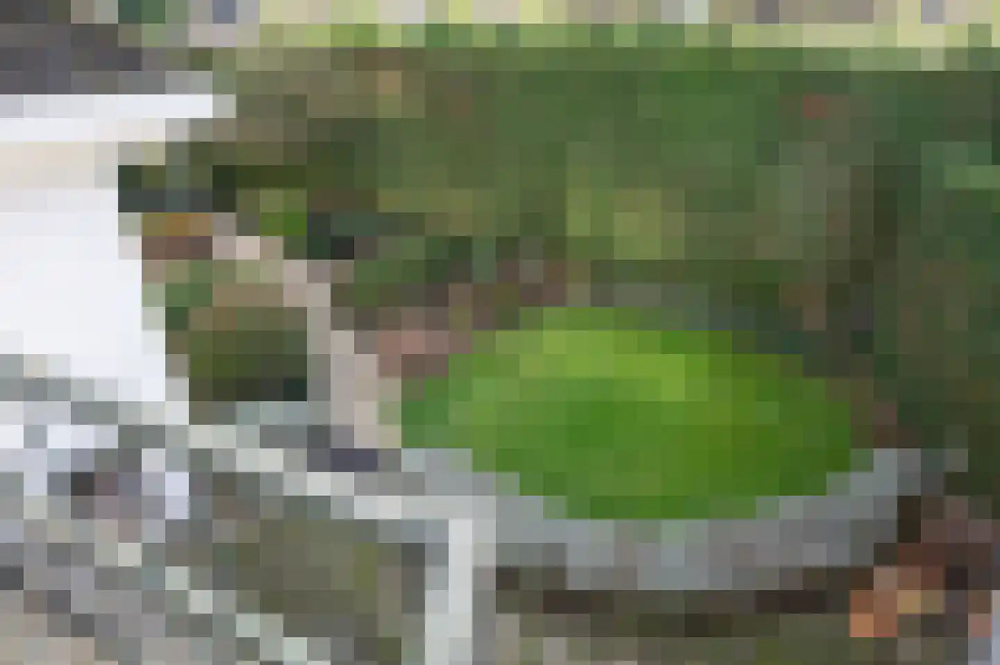 Parallelweg 12 Spaubeek thumbnail 35