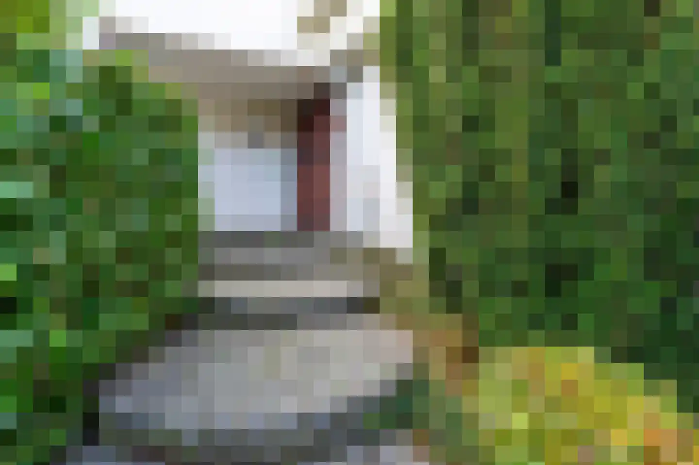 Parallelweg 12 Spaubeek thumbnail 7
