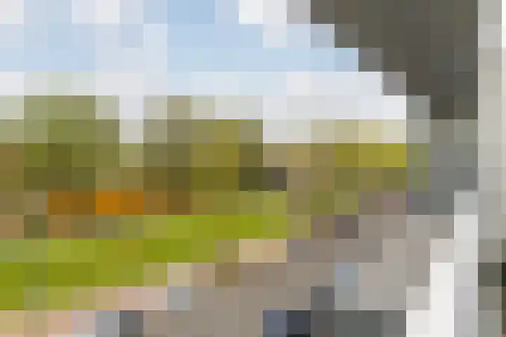Parallelweg 123 Rotterdam thumbnail 23