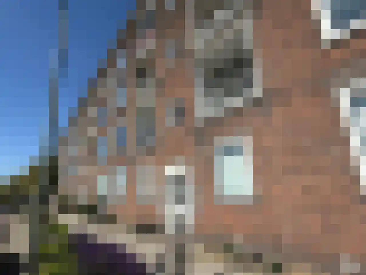 Parallelweg 124 D Vlaardingen thumbnail 15