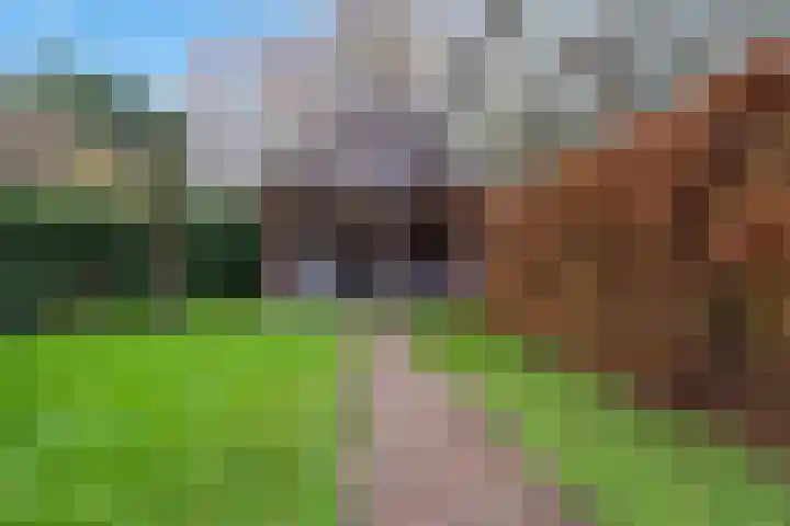 Parallelweg 128 Veenendaal thumbnail 39