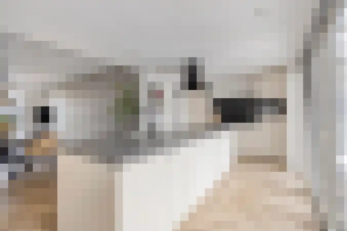 Parallelweg 13 Goes thumbnail 21
