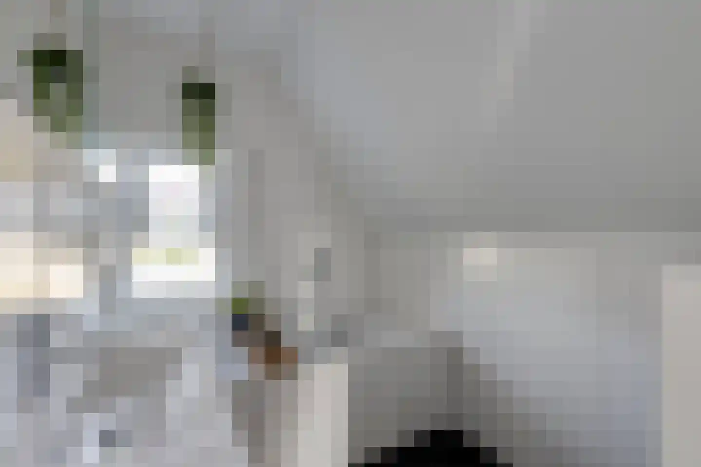 Parallelweg 13 Goes thumbnail 44