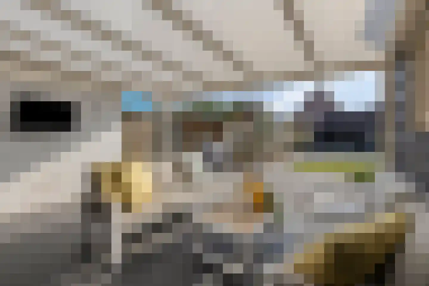 Parallelweg 13 Goes thumbnail 53