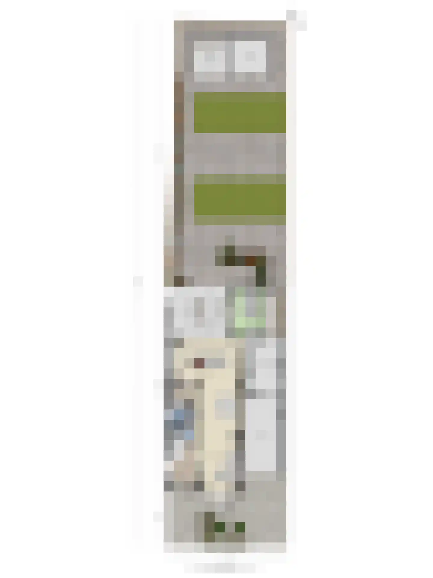 Parallelweg 13 Goes thumbnail 66