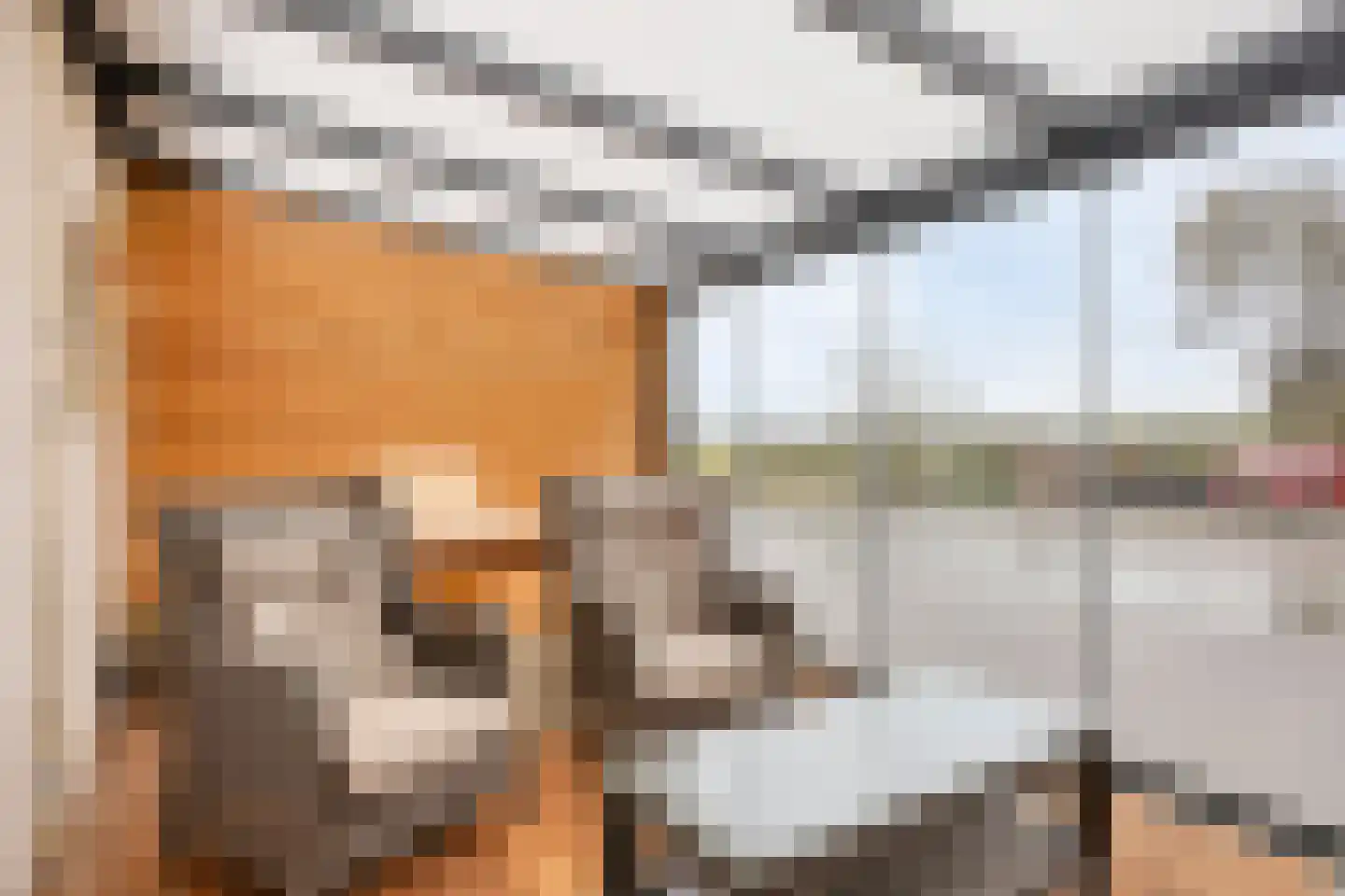 Parallelweg 13 Sint Maartensvlotbrug thumbnail 10