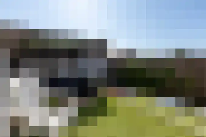 Parallelweg 131 Bergen op Zoom thumbnail 43