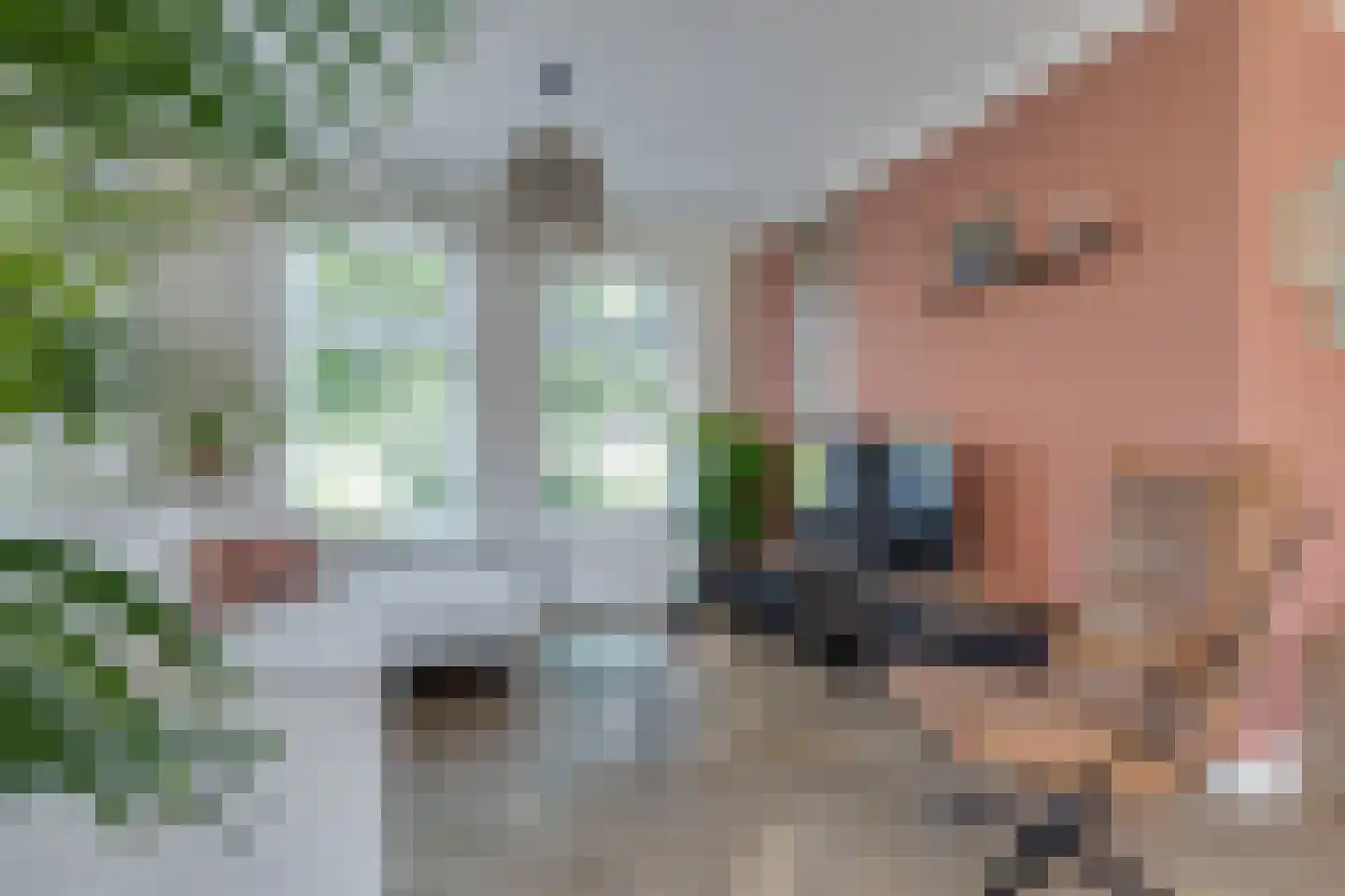 Parallelweg 14 Aalten thumbnail 11