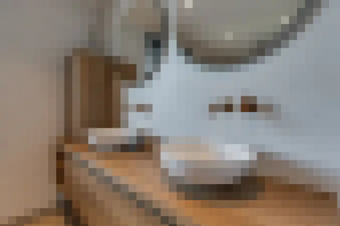 Parallelweg 14 Aalten thumbnail 34
