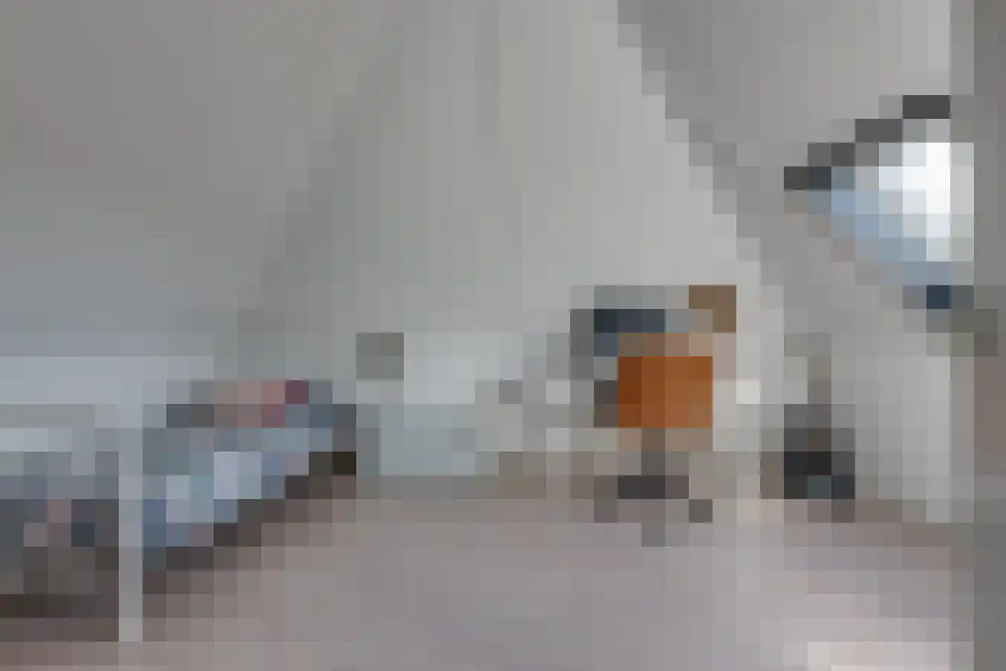 Parallelweg 14 Aalten thumbnail 41