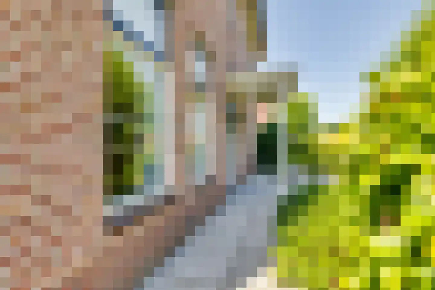Parallelweg 14 Aalten thumbnail 52