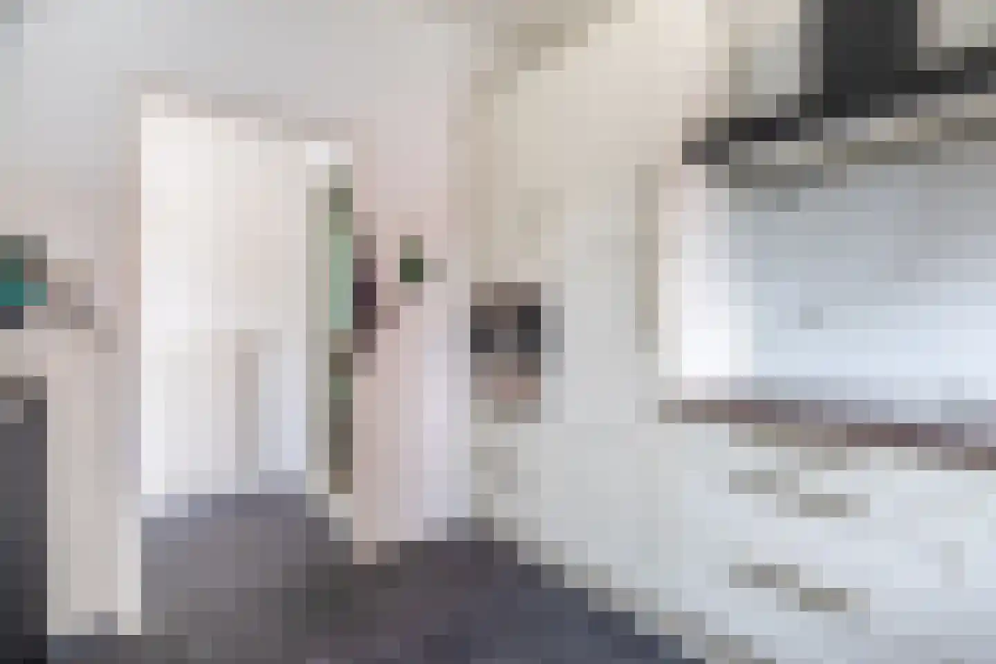Parallelweg 14 Beerta thumbnail 11
