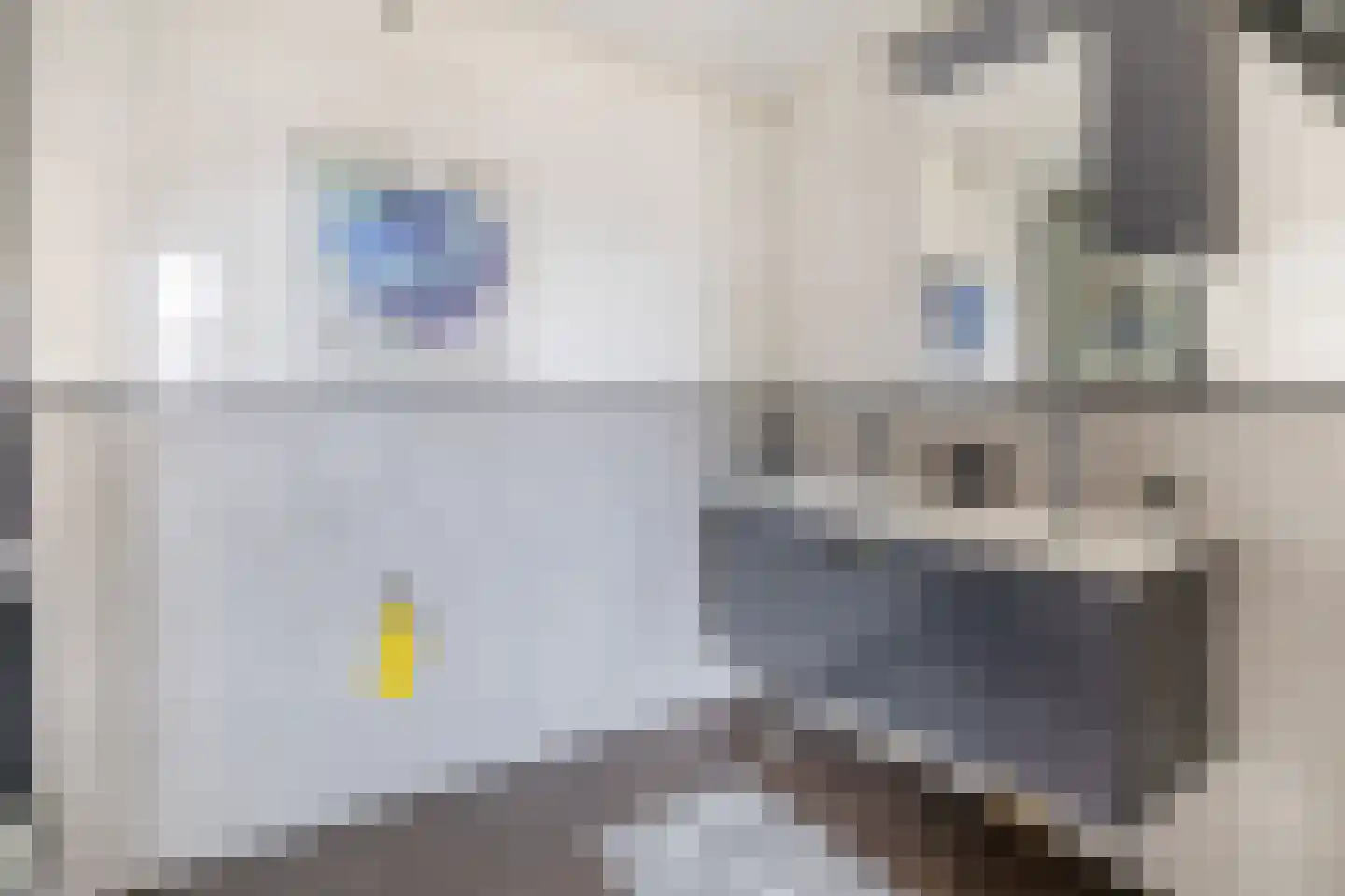 Parallelweg 14 Beerta thumbnail 15