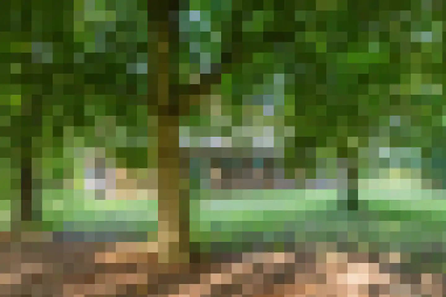 Parallelweg 14 Sint Maartensvlotbrug thumbnail 49