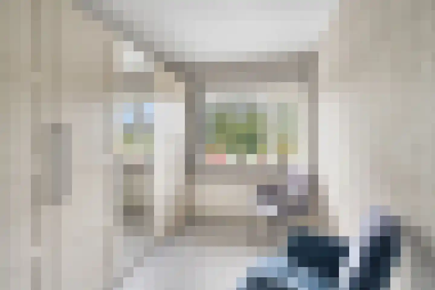 Parallelweg 141 Hillegom thumbnail 23