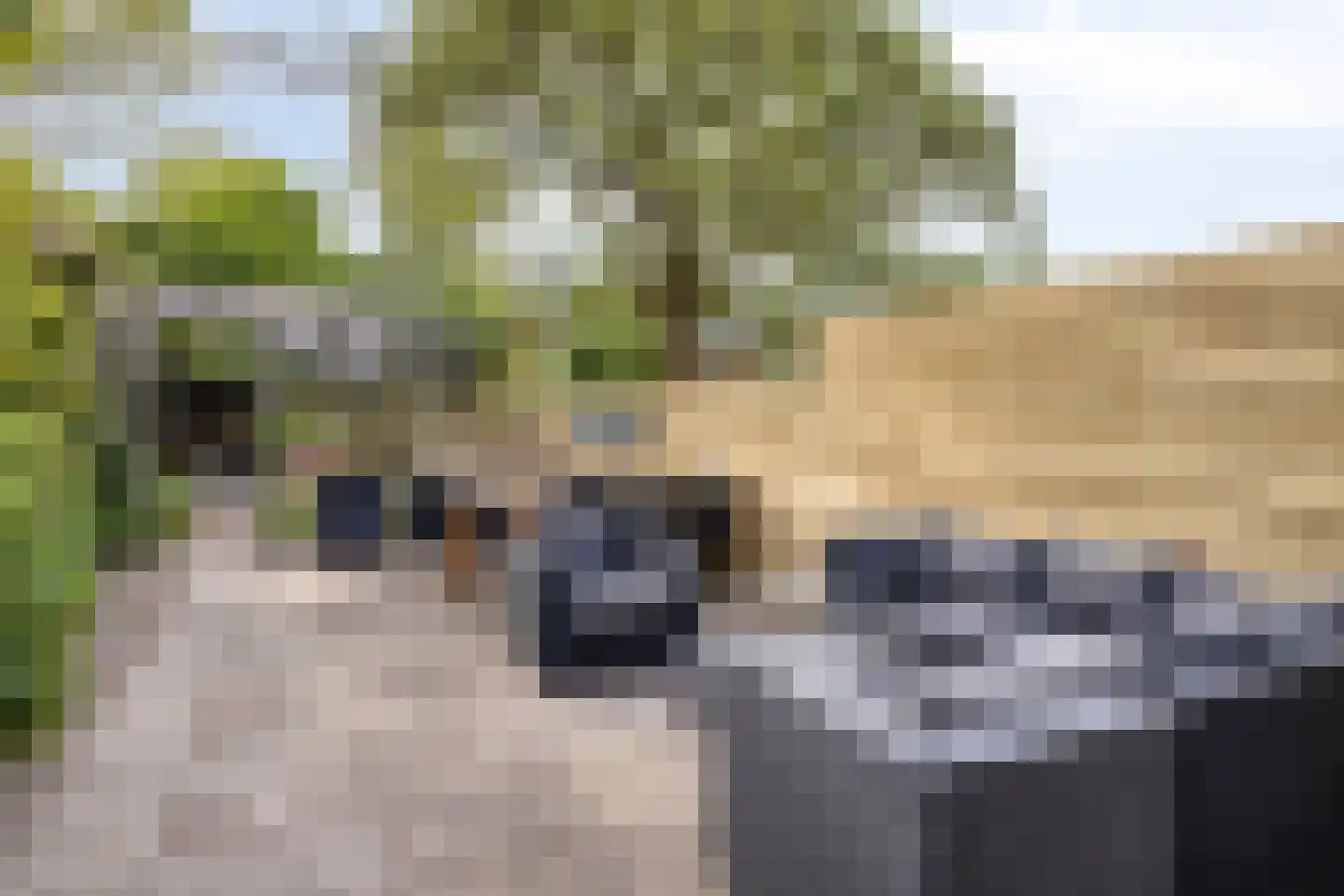 Parallelweg 141 Hillegom thumbnail 32