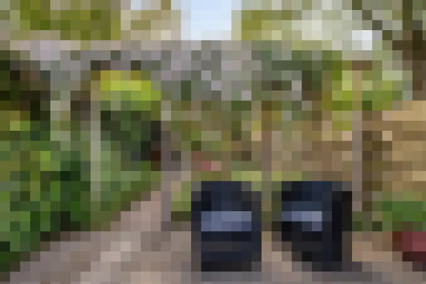 Parallelweg 141 Hillegom thumbnail 34
