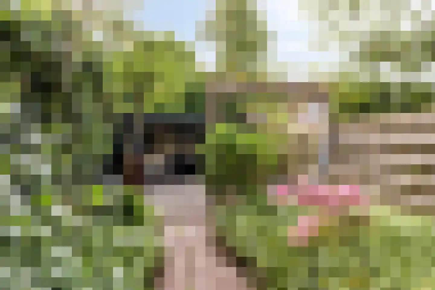 Parallelweg 141 Hillegom thumbnail 35