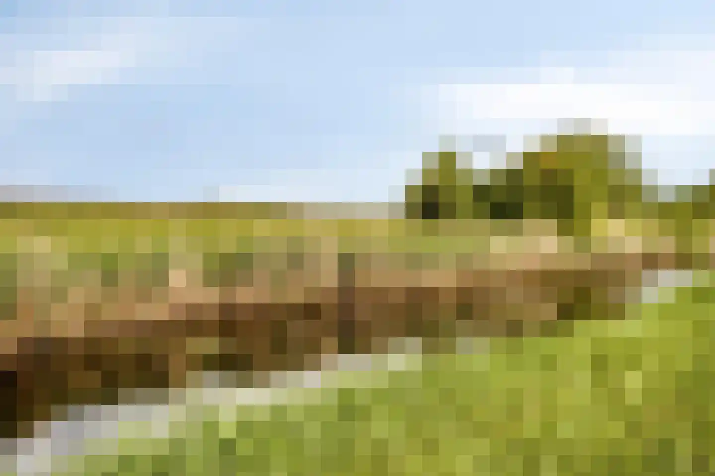 Parallelweg 141 Hillegom thumbnail 42