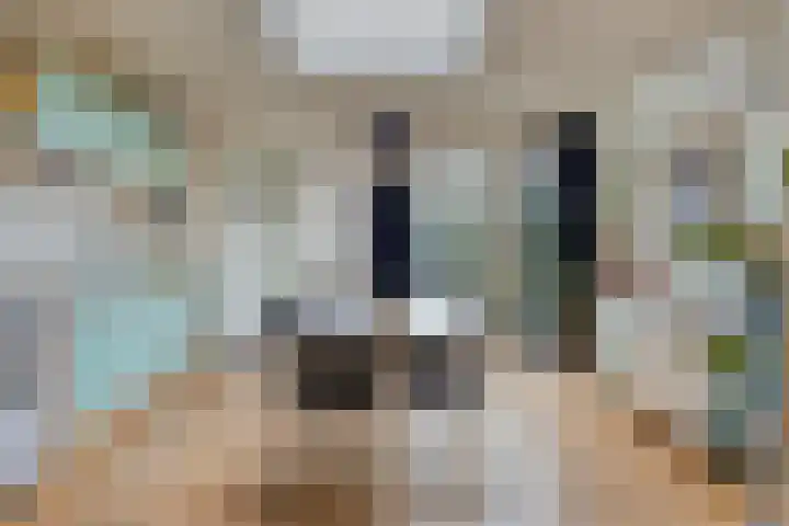 Parallelweg 147 Hillegom thumbnail 12