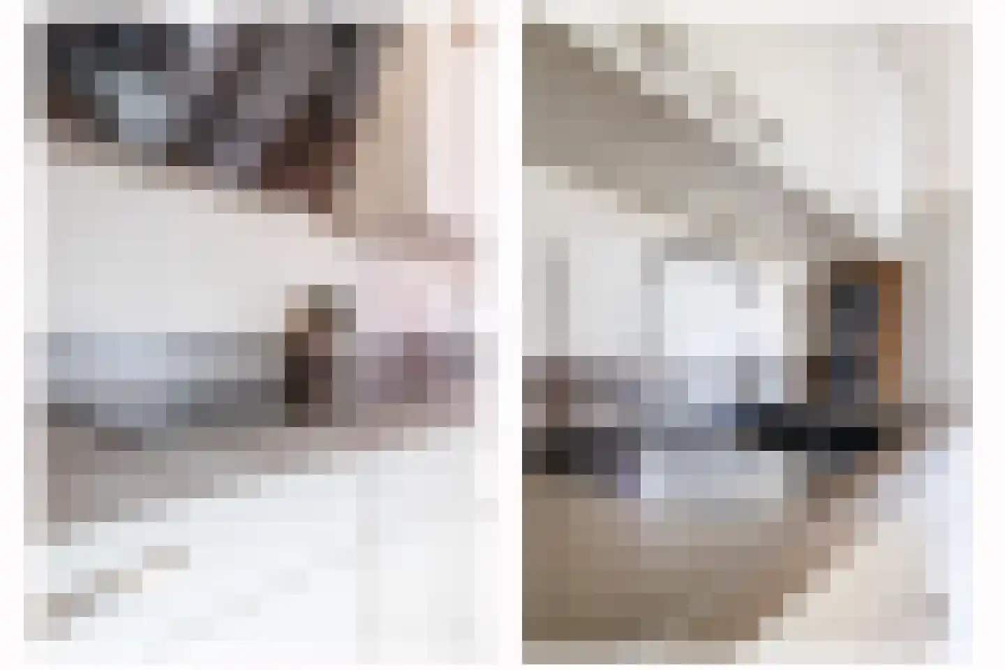 Parallelweg 15 Beerta thumbnail 11