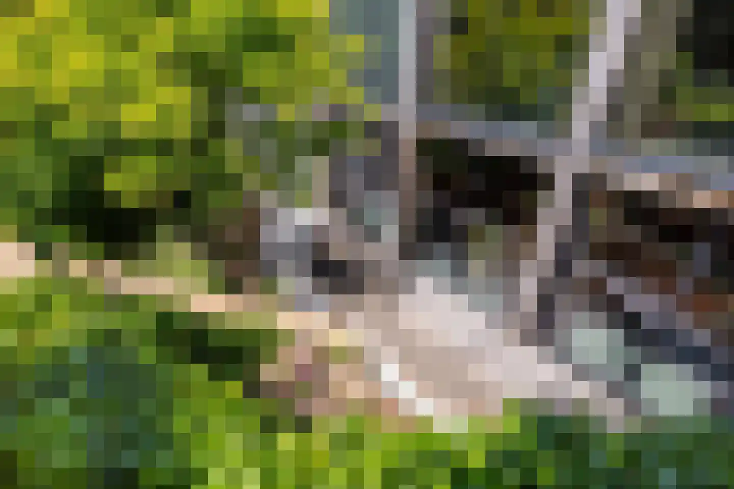 Parallelweg 15 Best thumbnail 26
