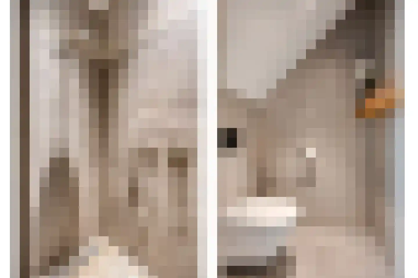 Parallelweg 15 Best thumbnail 40