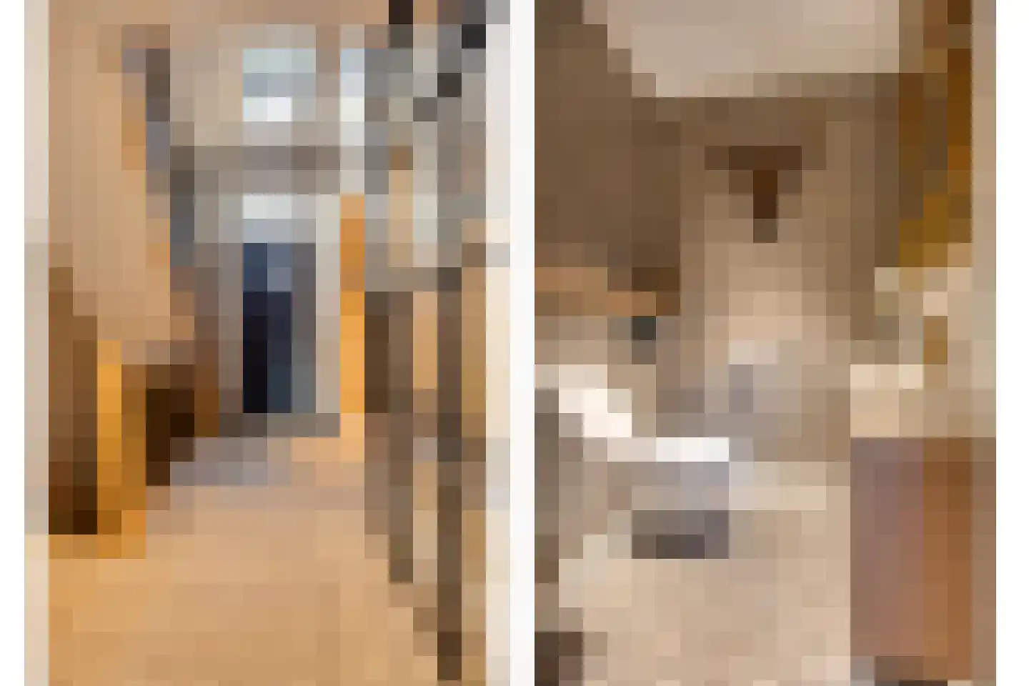 Parallelweg 15 Best thumbnail 5