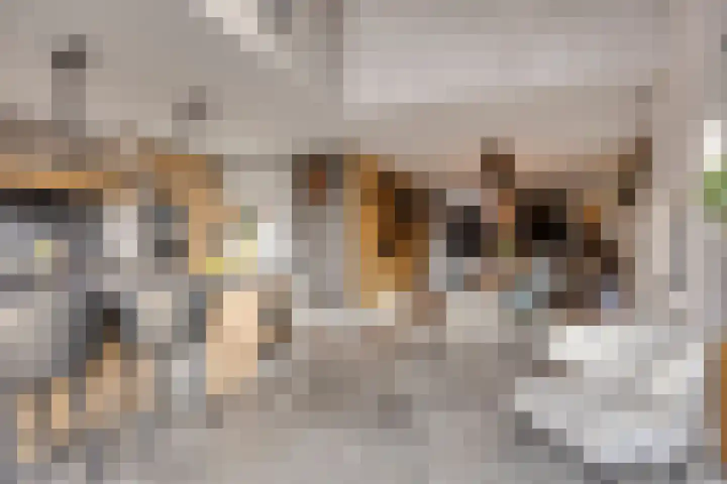 Parallelweg 15 Best thumbnail 8