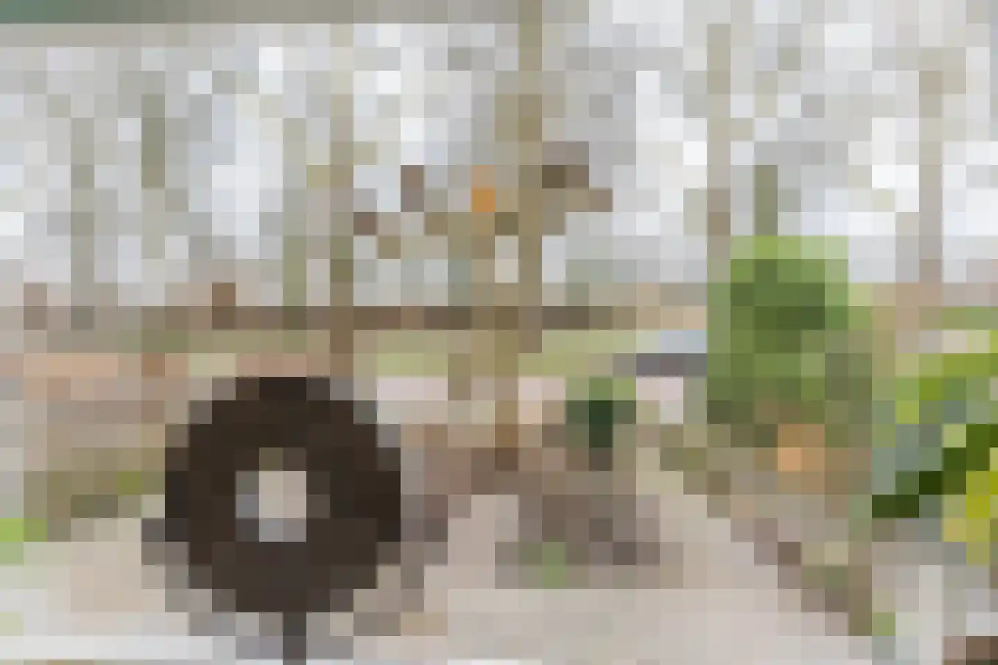 Parallelweg 15 Geldrop thumbnail 16