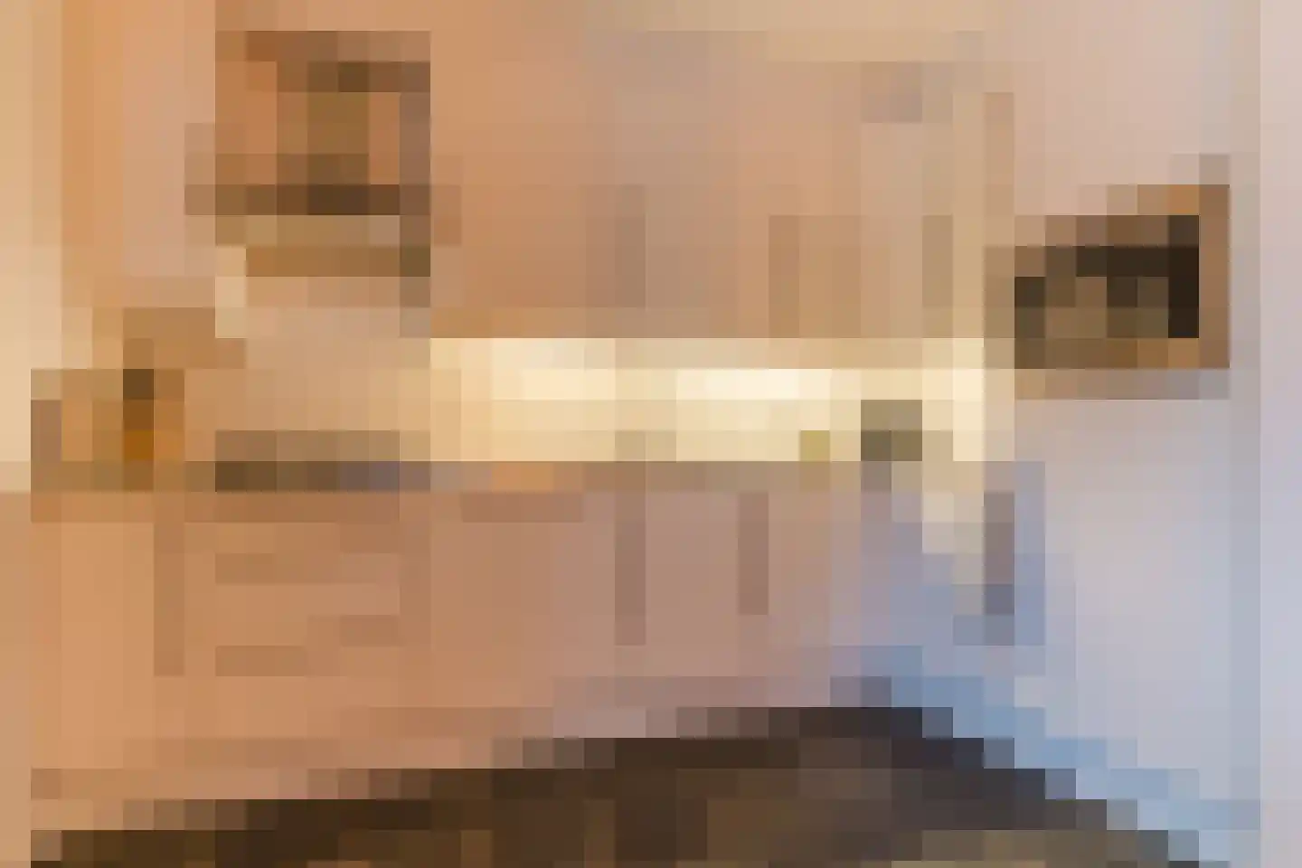 Parallelweg 15 Geldrop thumbnail 17